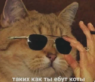 😎