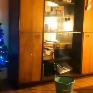 🐈