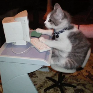 🖥