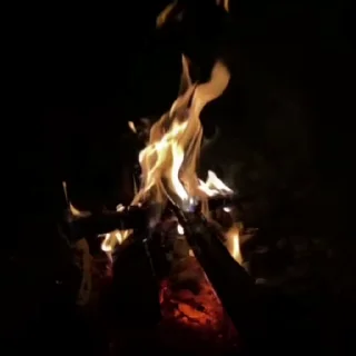 🌟