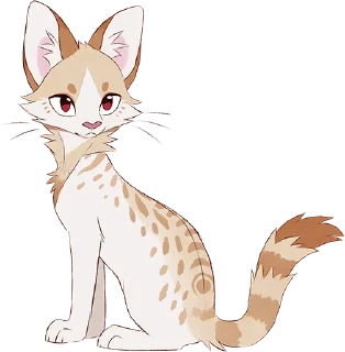 🐱