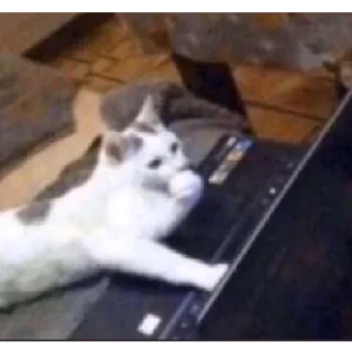 🤔