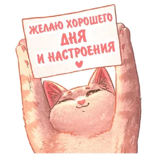 🙌