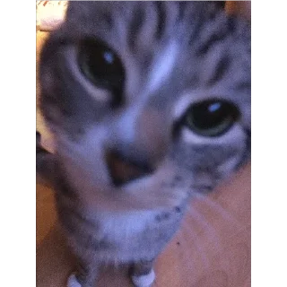 👹