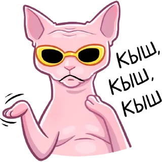 😎