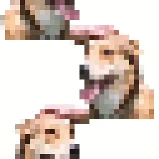 🐶