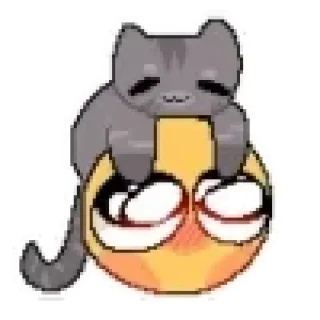 🐈