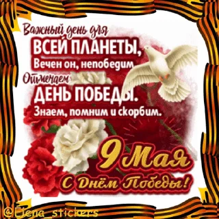 🎖