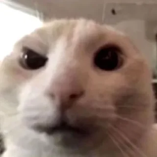 🤯
