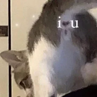 ❤️