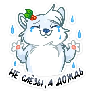 ☔️