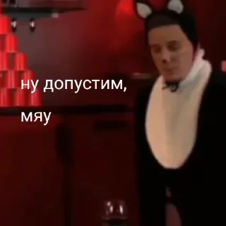🐱