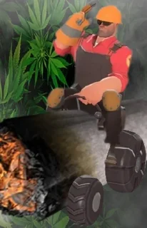 🌿