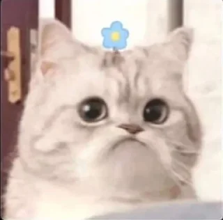 ☹️