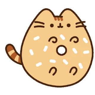 🐱