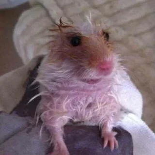 😳