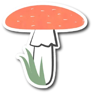 🍄