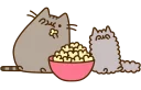 🐱