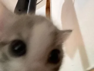 😨