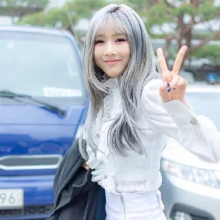 ✌️