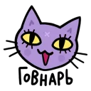 😼
