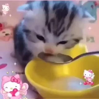 🌟