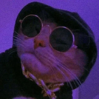 🐈