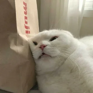 😣