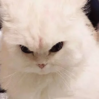 😡