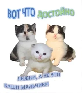 💖
