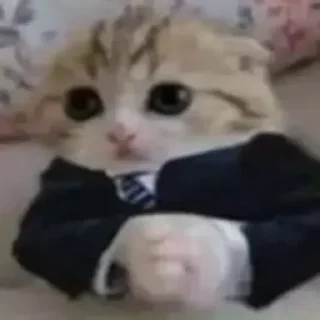 🤨