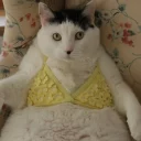 👙