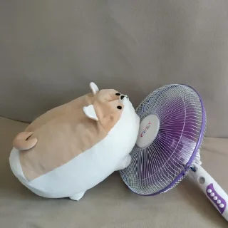 🥵