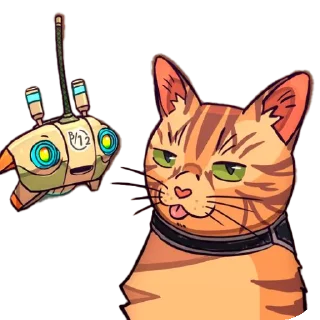 🐱