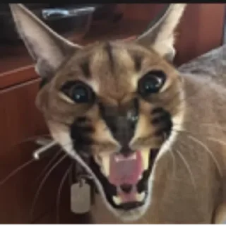 😁
