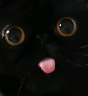 😛