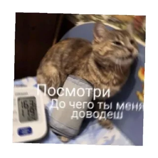 😢