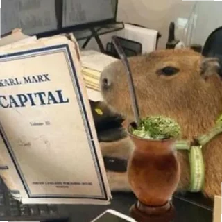 🦦