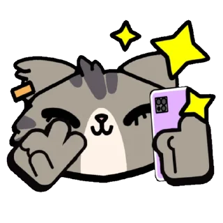 ✨