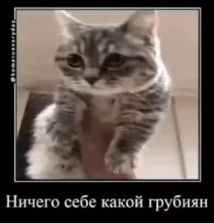 😮