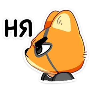 🐱