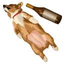 🐶