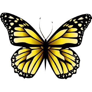 🦋