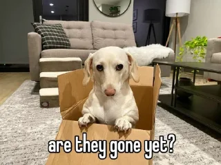 👀