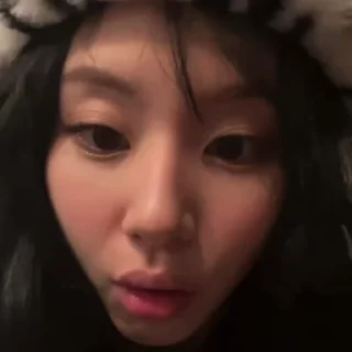 🦨