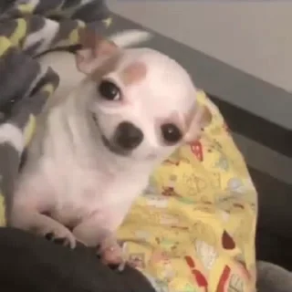 😁