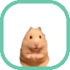 CHIQUITOS