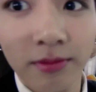 🐰
