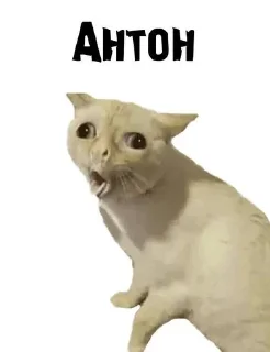 🤮