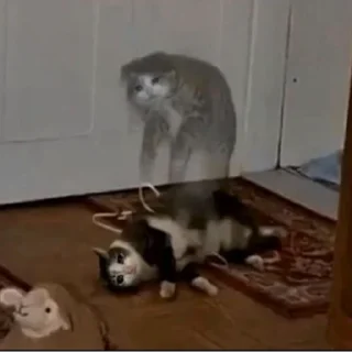 😵